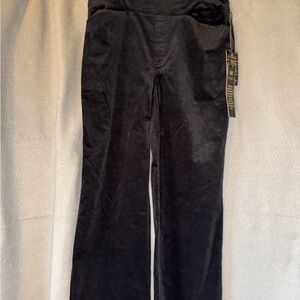 Black Velvet Pants Pull On Pants By Diane Gilman.  NWT